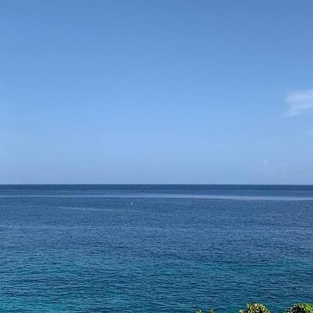 Irie Vibes Ocean View Villa Негрил Екстериор снимка