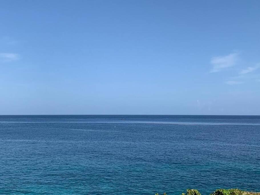 Irie Vibes Ocean View Villa Негрил Екстериор снимка